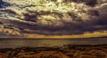 Friday Fiction: You’ve Gone Insane, Sorry