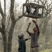 Zombies, Zombie Apocalypse