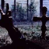 Zombies, Zombie Apocalypse