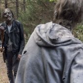 Zombies, Zombie Apocalypse