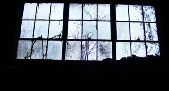 Friday Fiction: Our Reflections (Part 10)