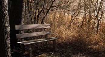 Friday Fiction: We Don’t Talk About What He Feeds Them (Part 1)