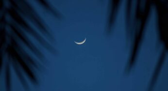 Friday Fiction: The Night of Dreamers and Dreams (Part 1)