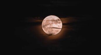 Friday Fiction: The Humming At Midnight (Part 2)