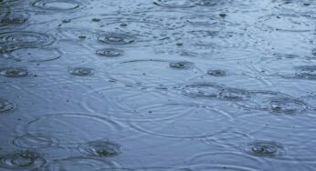 Friday Fiction: Ceiling Men’s Managers