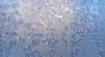 Friday Fiction: Hiding In Plain Sight (Part 2)
